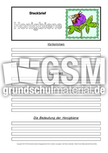 Steckbriefvorlage-Honigbiene-B-1-2.pdf